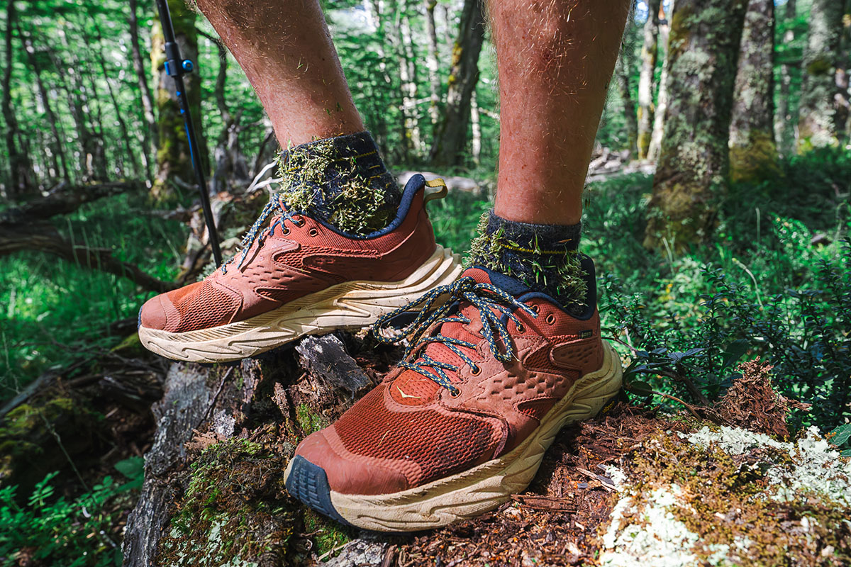 Hoka Anacapa 2 Low GTX hiking shoes (in dense forest)