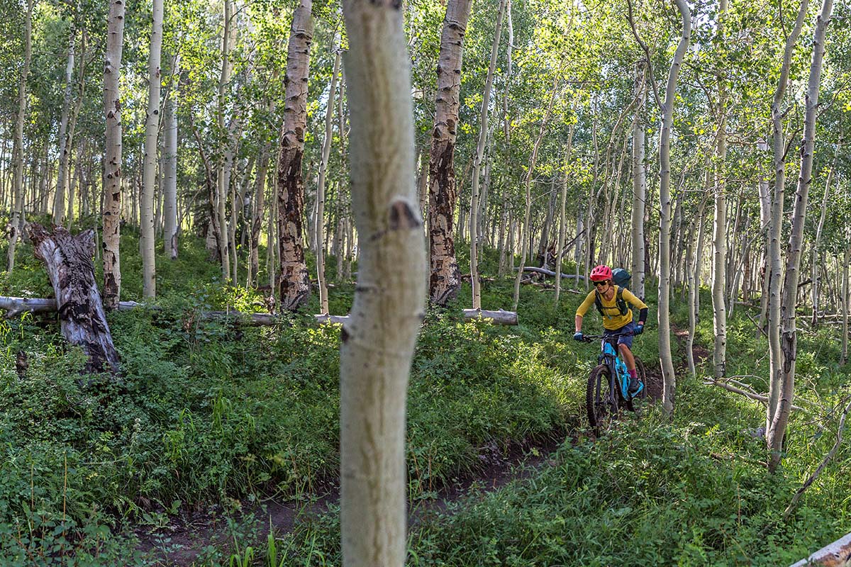 Biking through Aspen groves