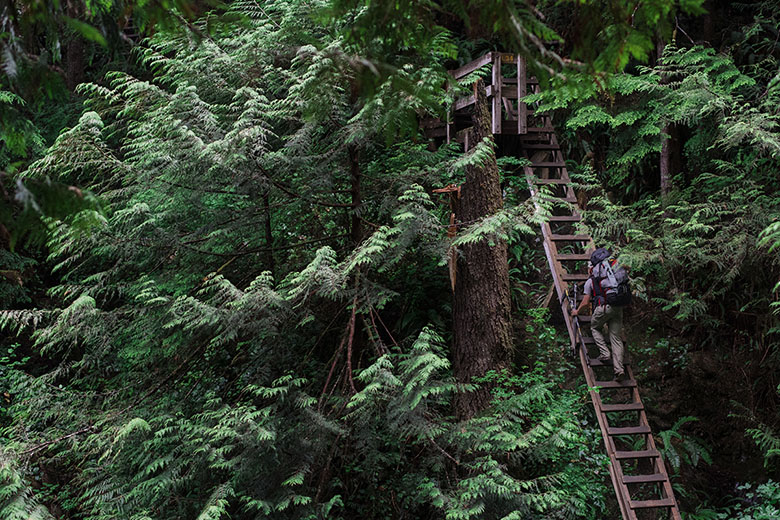 North Shore Hiking Trails in North and West Vancouver