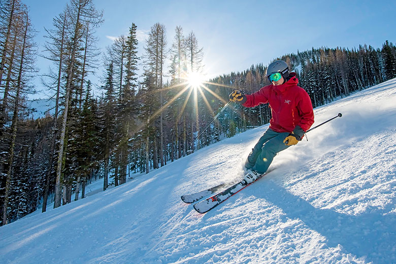 stapel limoen regenval Best All-Mountain Skis of 2023 | Switchback Travel