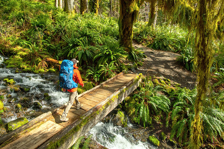The 5 Best Budget Backpacking Packs of 2023