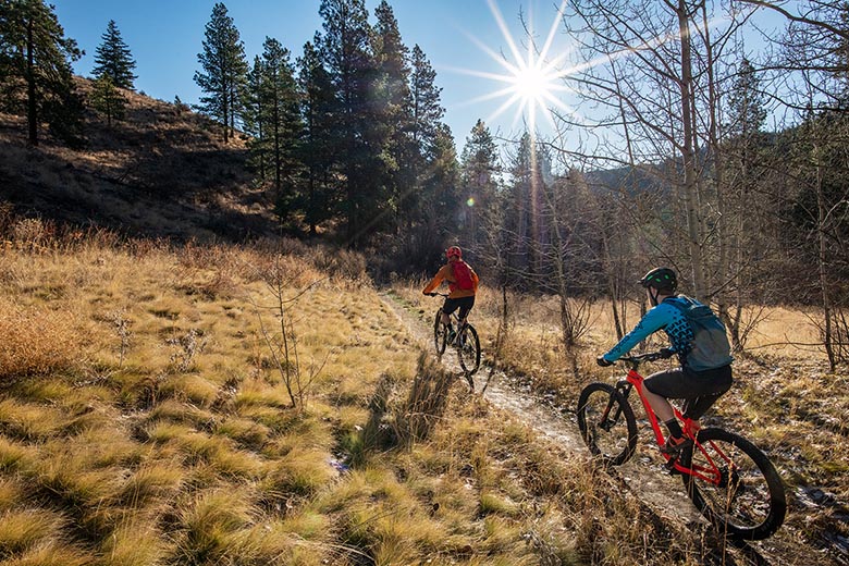 Mountain bike pricing (riding on sunny day)