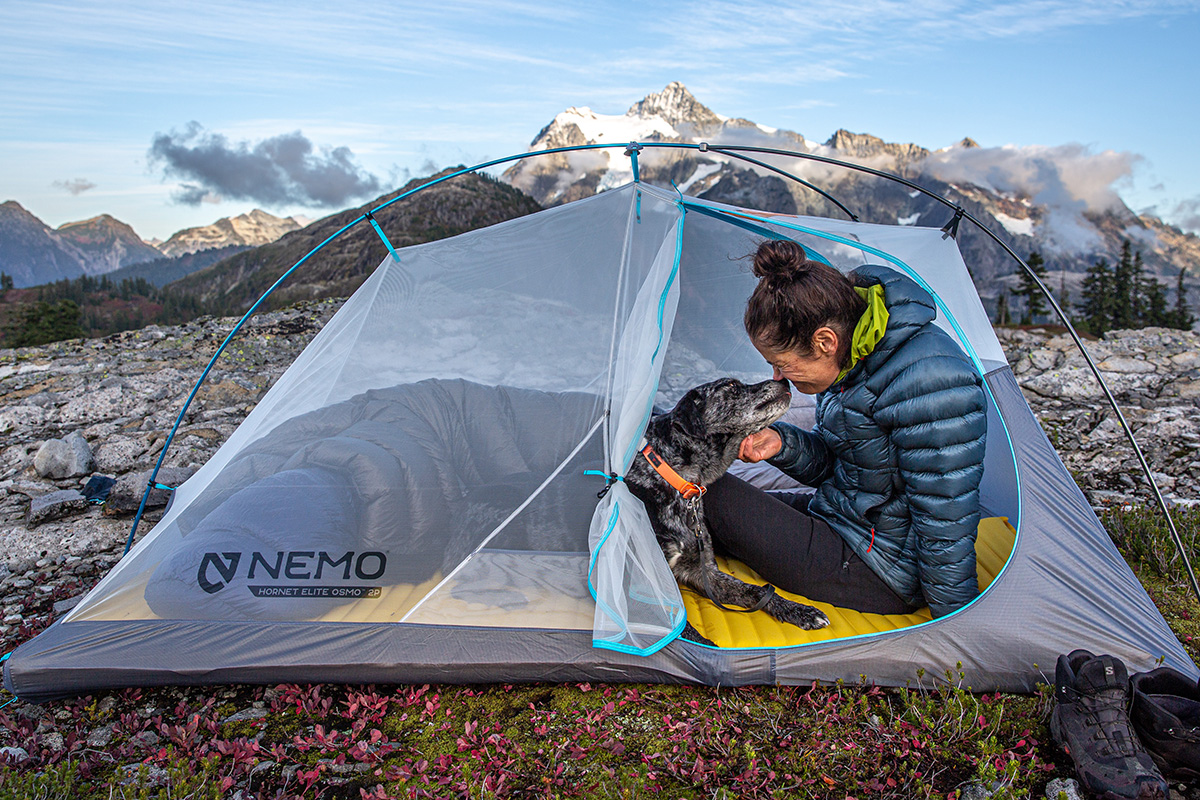 Backpacking tent (inside Nemo Hornet Elite with dog)