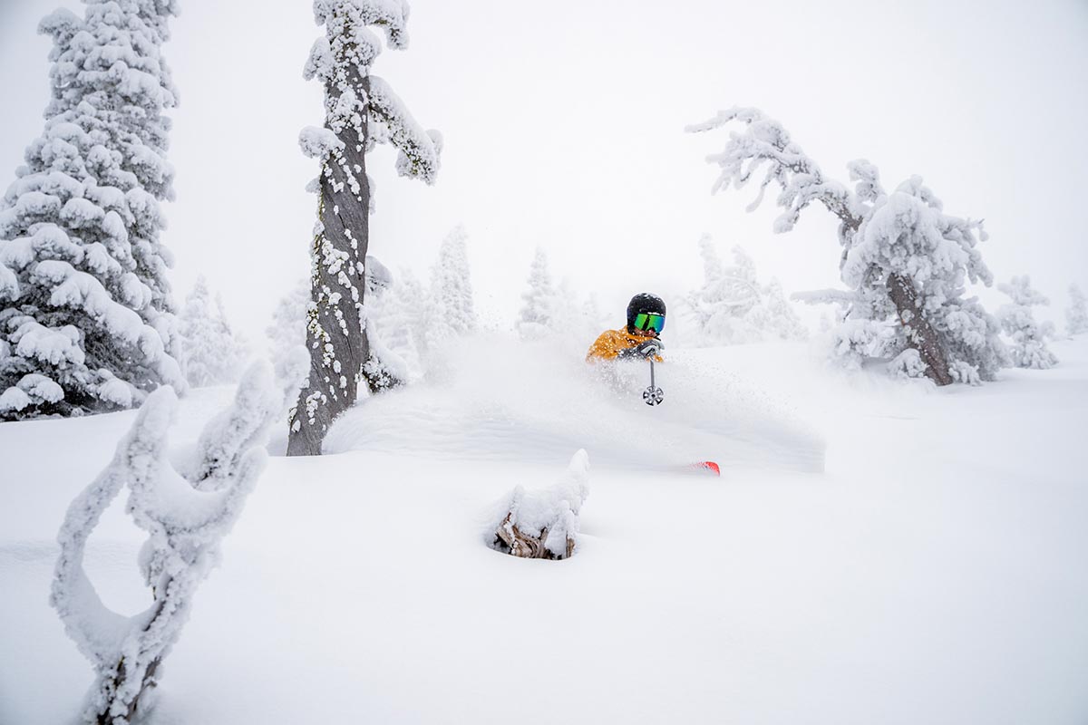 Men's ski pants (powder skiing in trees)