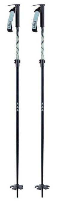 Best Ski Poles Of 2021 Switchback Travel