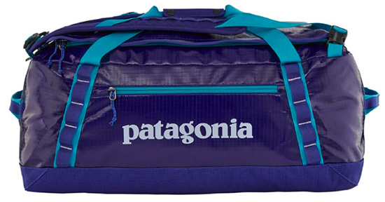 patagonia backpack travel bag