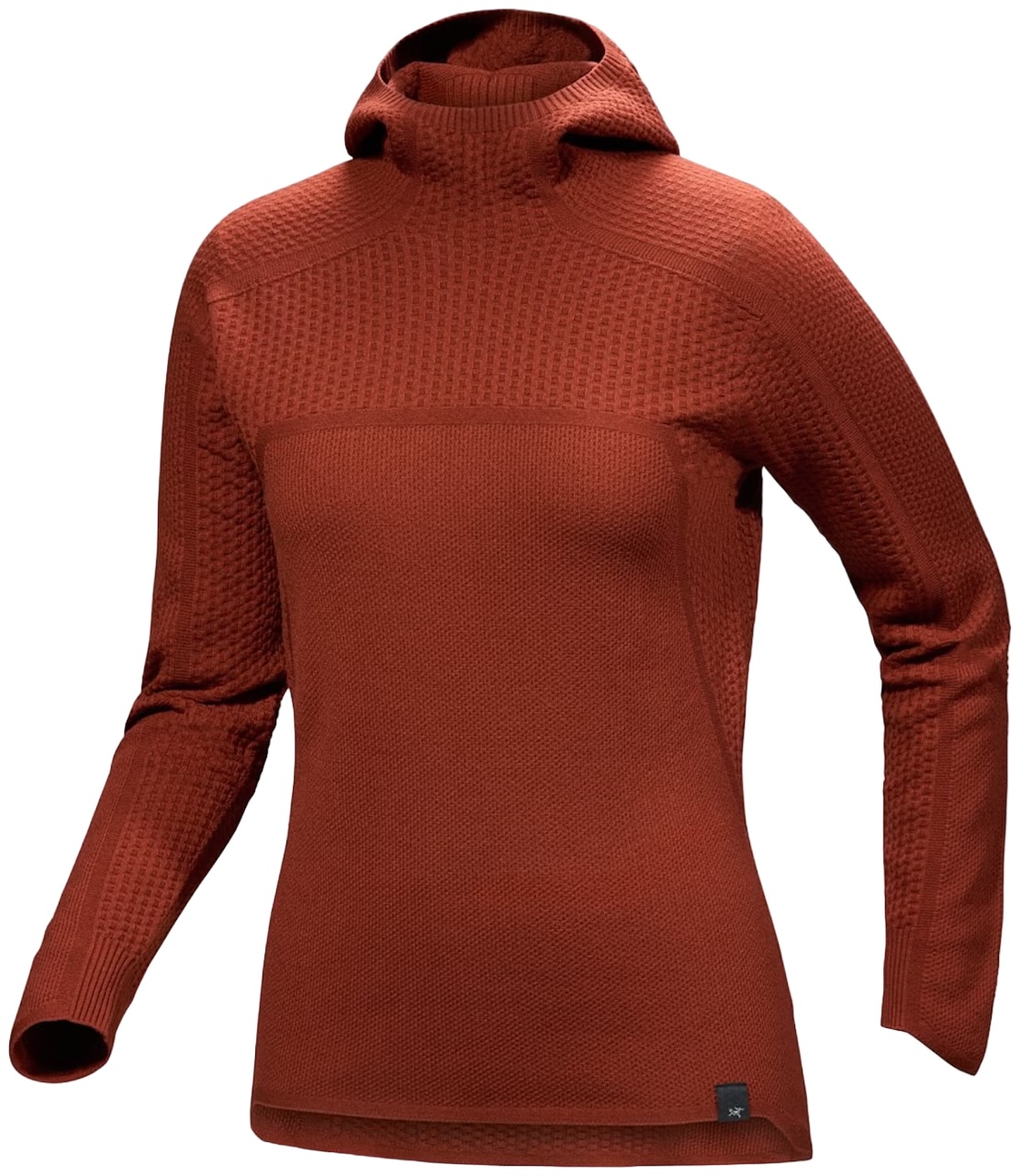 Arc'teryx Hallam Merino Wool Hoody Women's baselayer