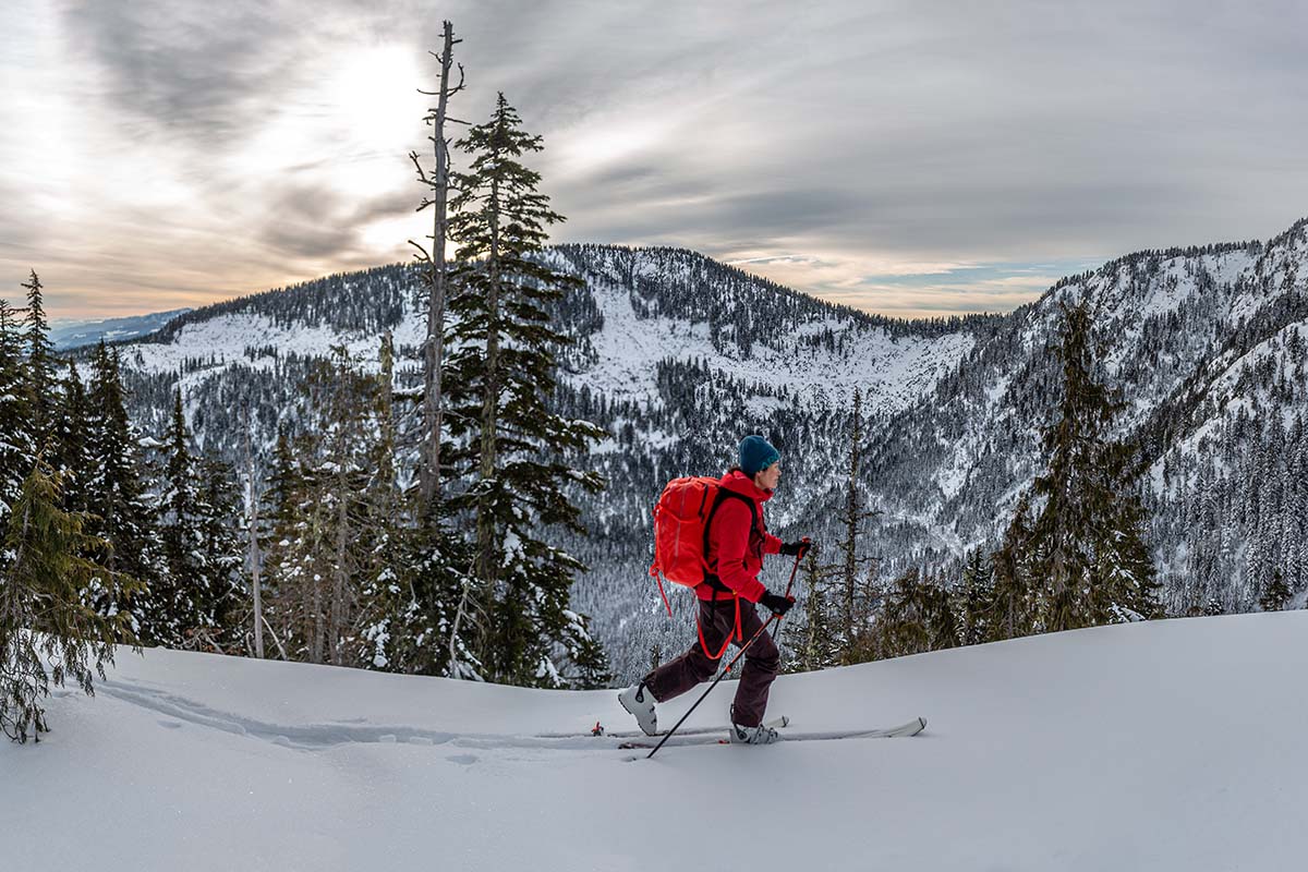 Arc'teryx Proton Heavyweight Hoody (touring)