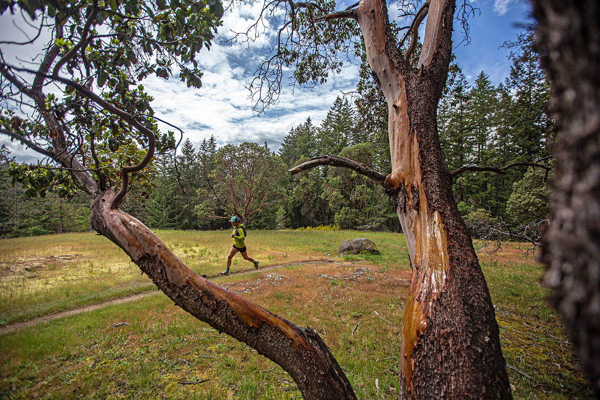 La Sportiva Bushido III trail running shoe (wide shot through trees)