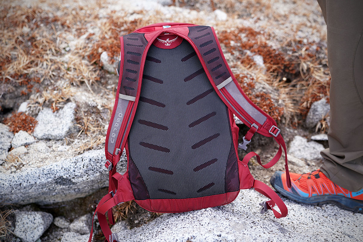Osprey Daylite Plus Backpack Review 