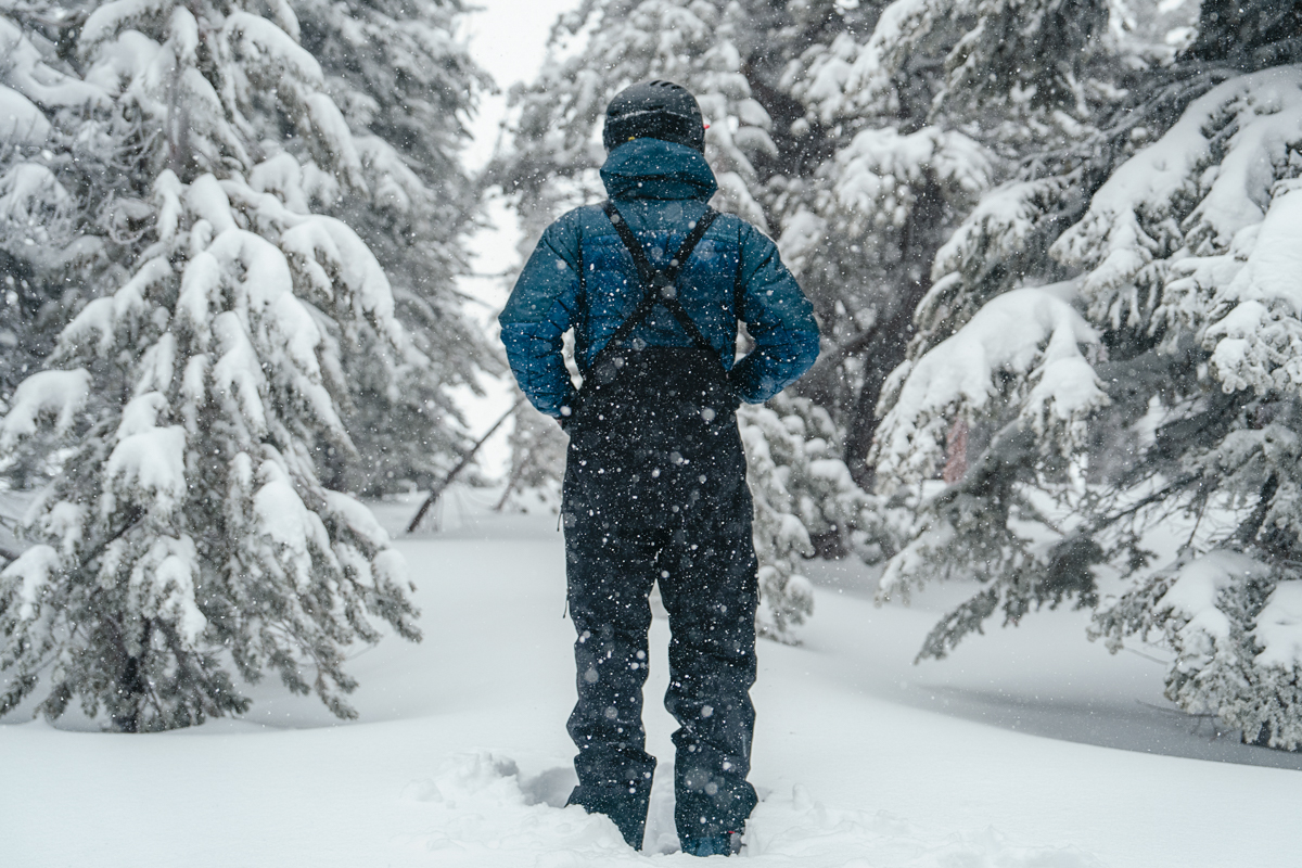 Patagonia Untracked Bibs (back of bibs)