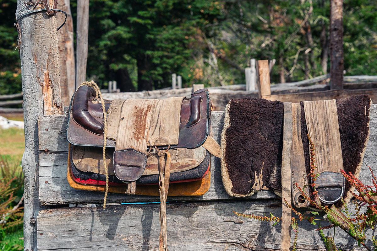Merino wool (horse saddles on fence)