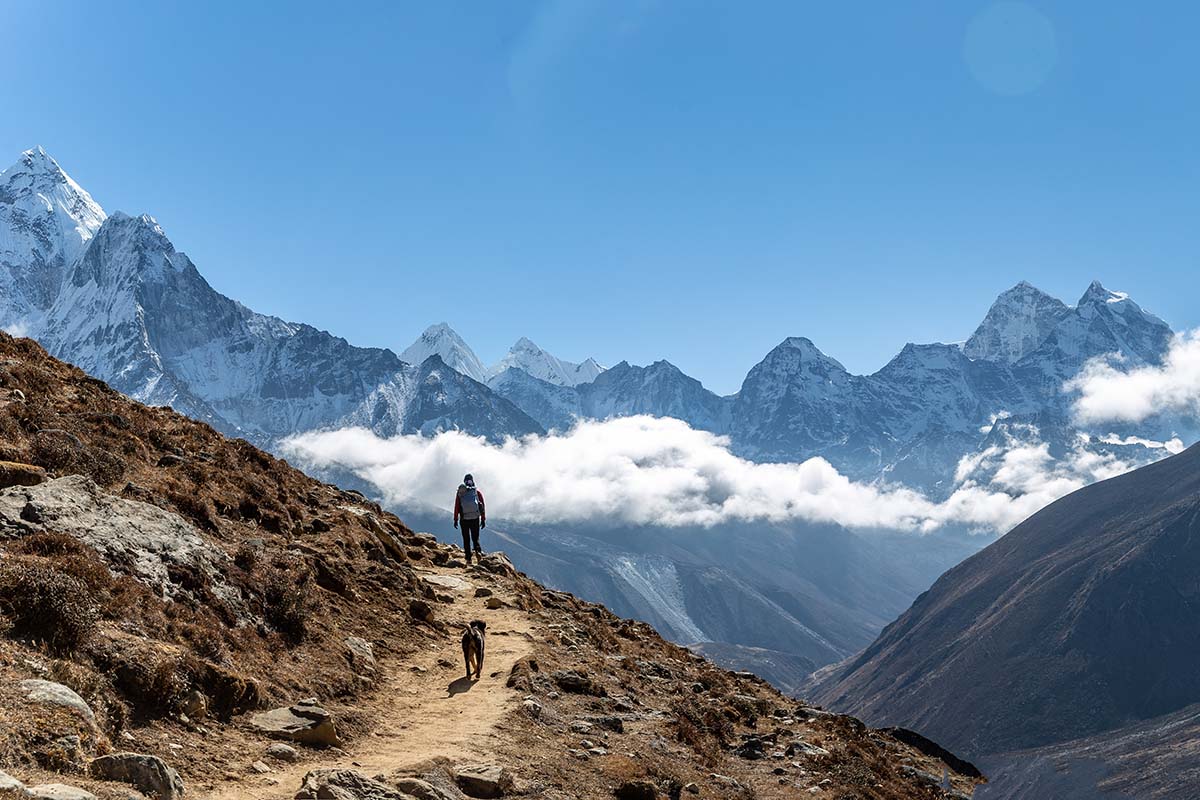 Nepal Trek (En route to Dingboche with dog)