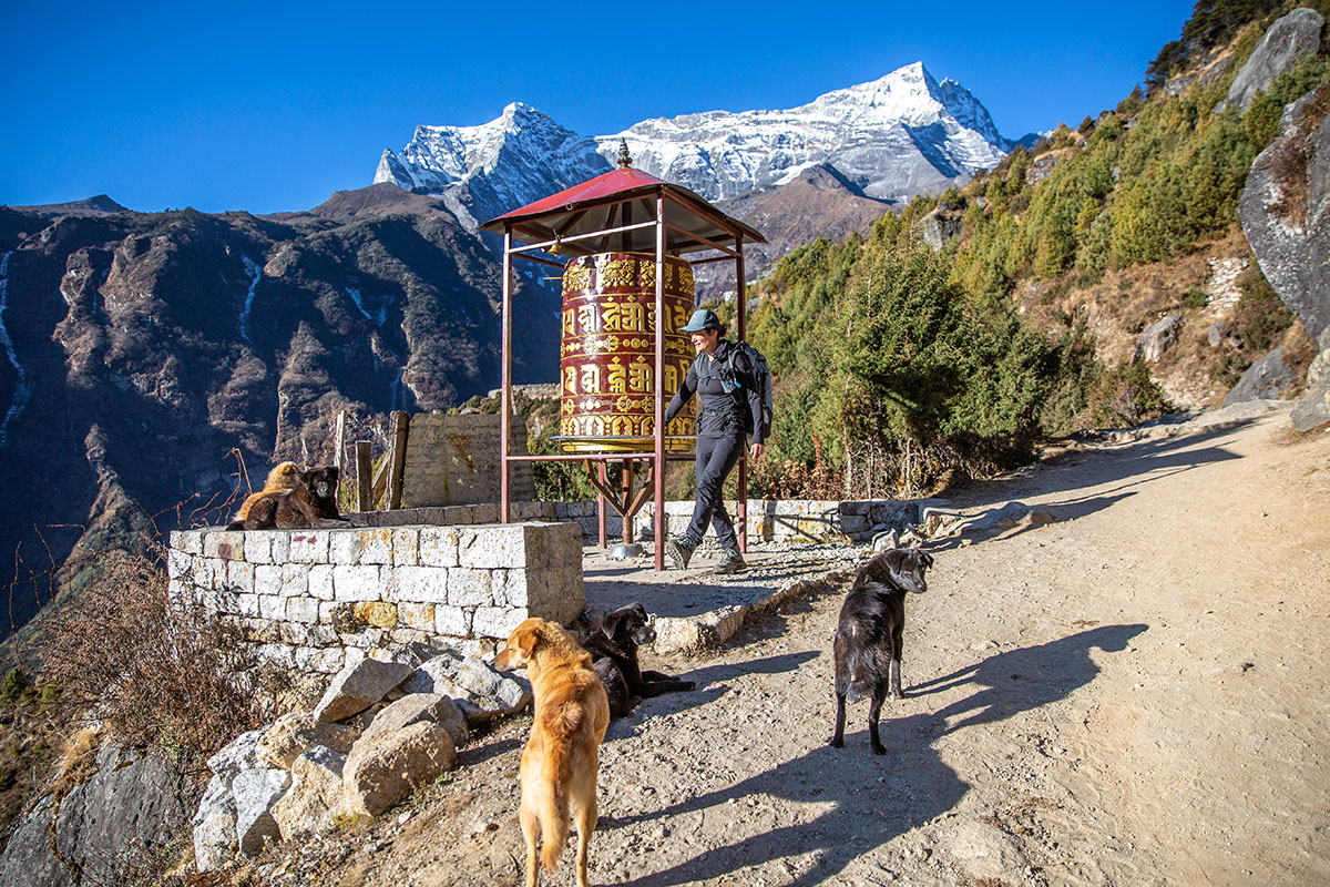 Nepal Trek (prayer wheel and dogs)