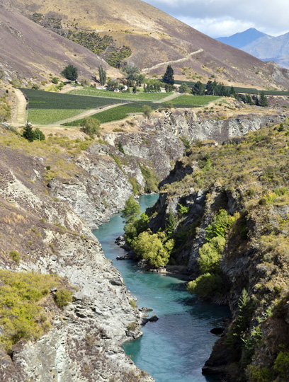 Central Otago - Gibbston Valley Vineyard