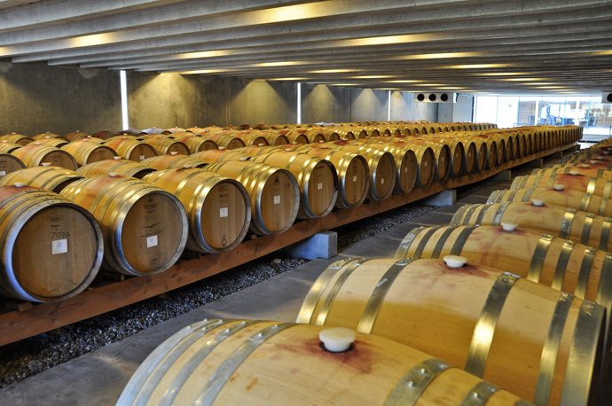 Central Otago - Peregrine Vineyard 