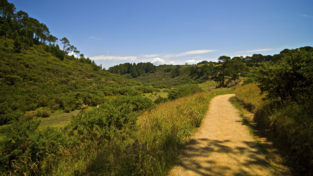 Hiking near Mercury Bay, Coromandel