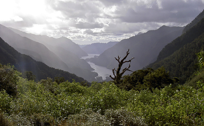 Fiordland - Doubtful Sound from Wilmot Pass