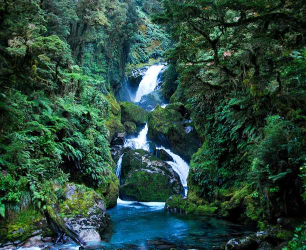 Fiordland - Mackay Falls