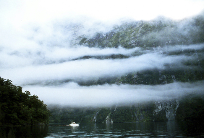 Fiordland - Milford Sound Fog