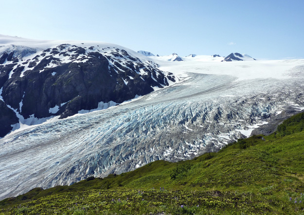 Harding Icefield Trail