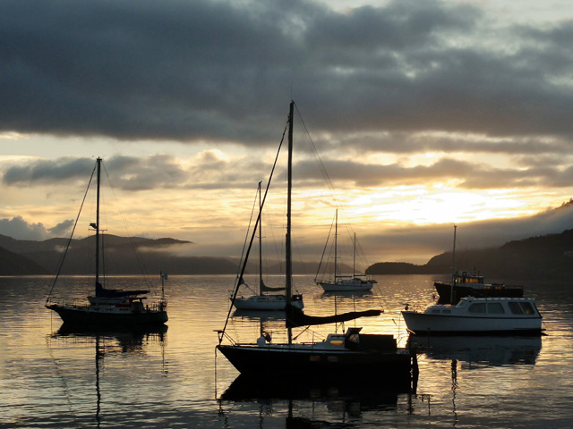 Marlborough Sounds - Boats in Waikawa Bay