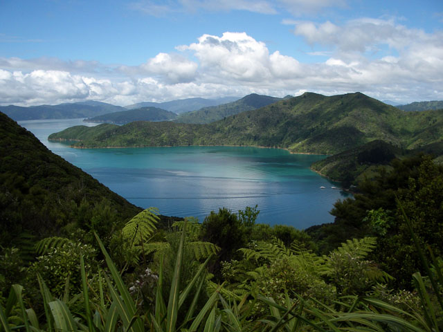 Marlborough Sounds - Queen Charlotte Track