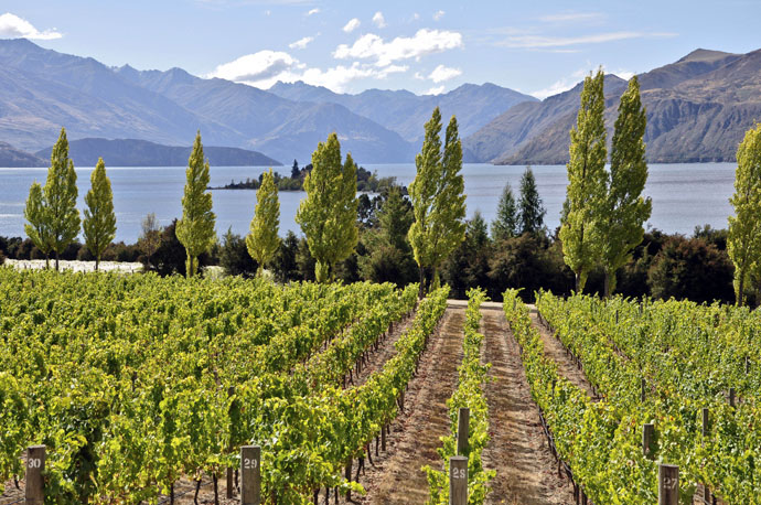 New Zealand Travel - Wanaka Rippon Vineyard