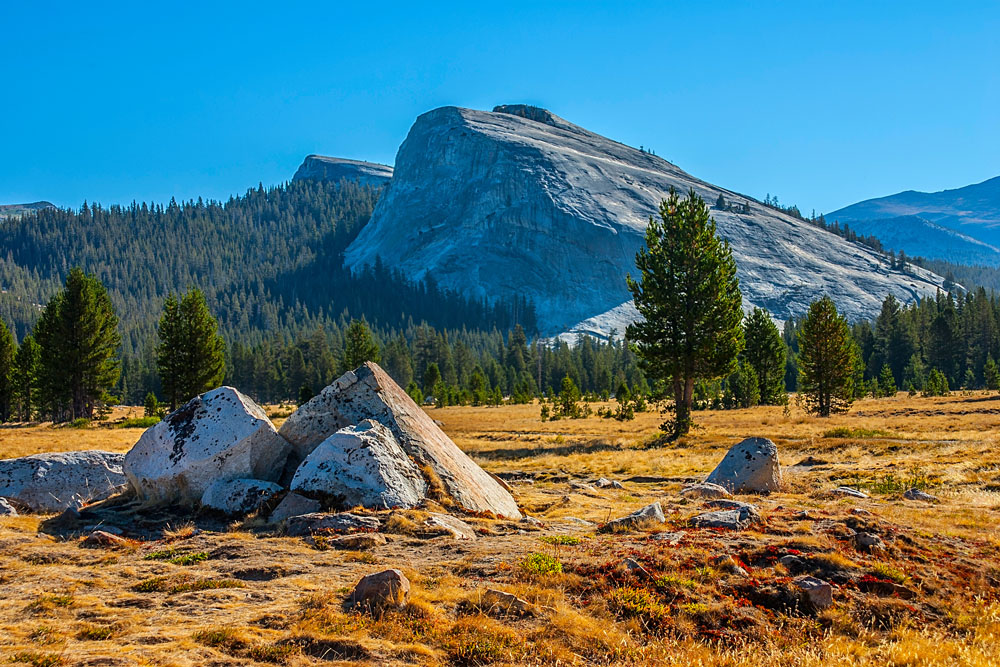 Tuolumne Meadows California