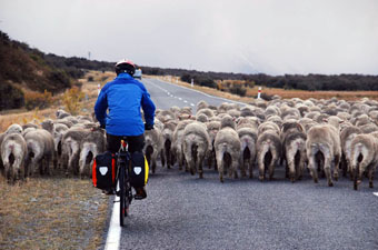 Cycling in New Zealand