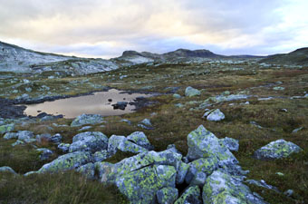 Hardangervidda, Norway