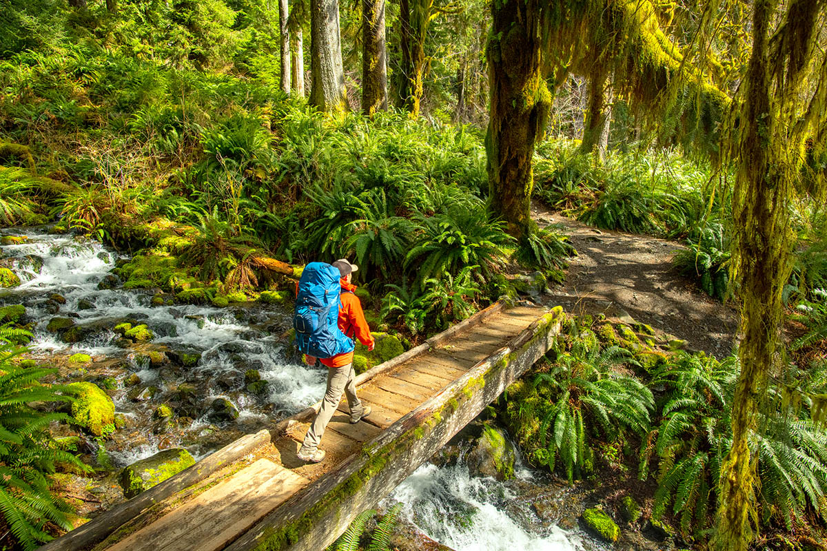 Best Backpacking Backpacks of 2023 - Hiking%20over%20briDge%20in%20Hoh%20Rainforest%20(Osprey%20Aether%2065%20backpacking%20pack)