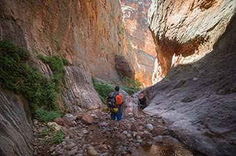 Kanab Creek