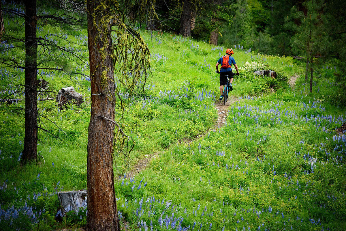 best trail mountain bike under 1000