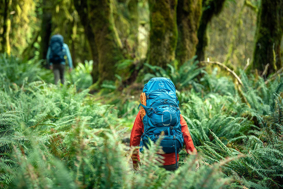 Antipoison spectrum Opiaat Osprey Aether 65 Backpack Review | Switchback Travel