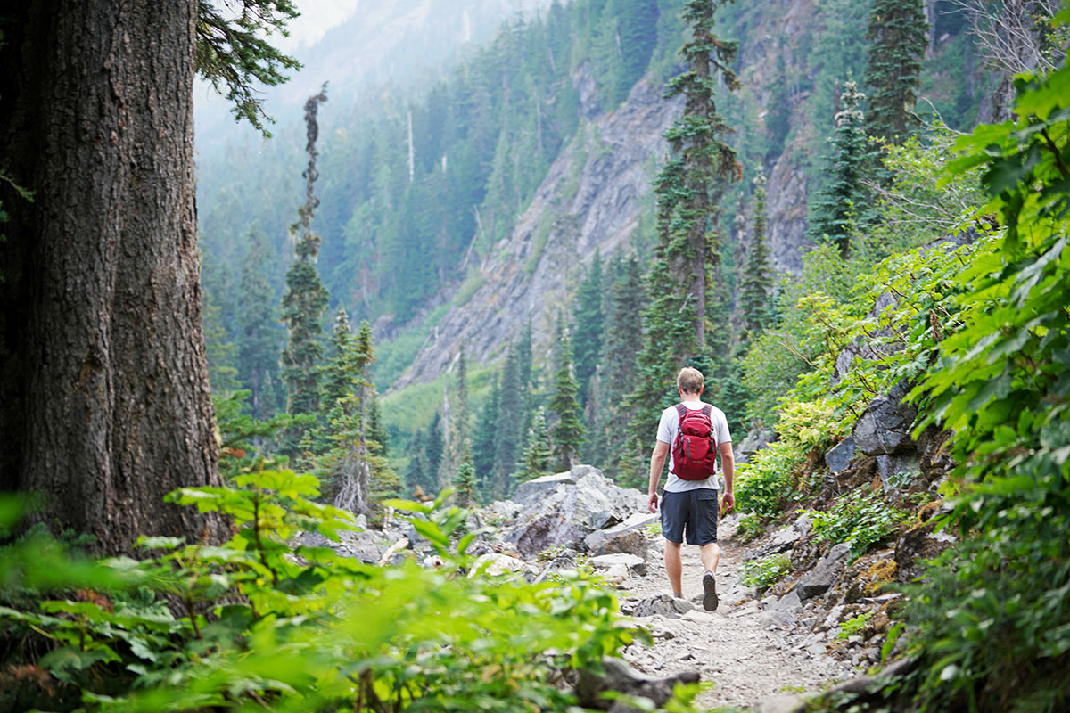 Osprey Daylite Plus Daypack Review | Switchback Travel