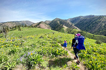 Osprey Poco Plus baby carrier pack (hiking through flowers)