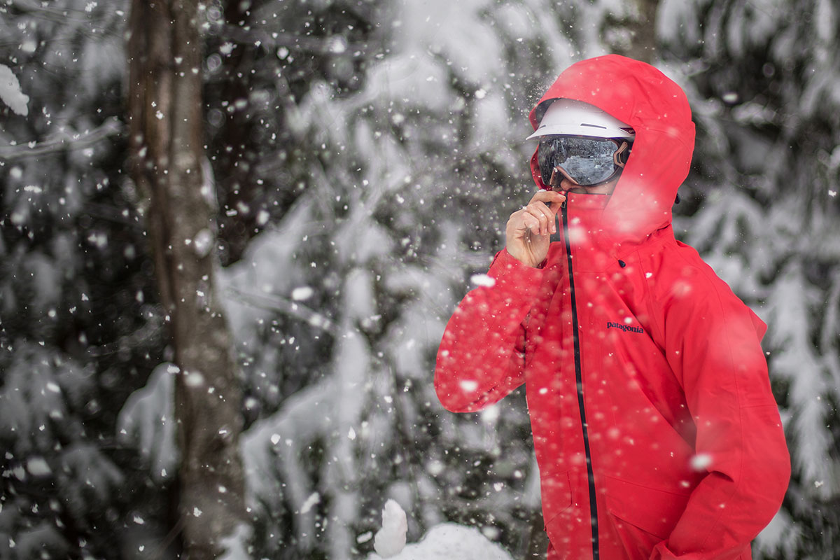 Patagonia Snowbelle Insulated Snow Pants - Short Women's (Past