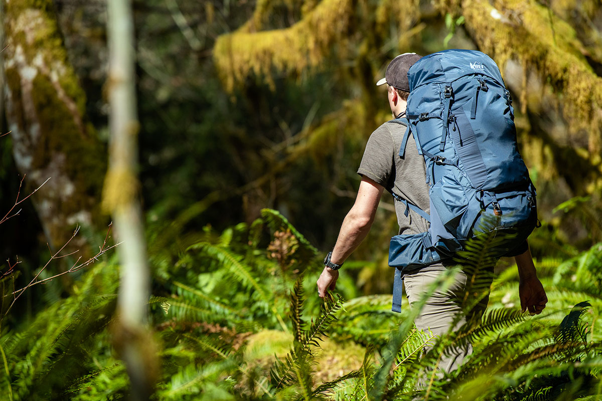 REI Co-op Traverse 65 Shoulder Straps - Women's, REI Co-op