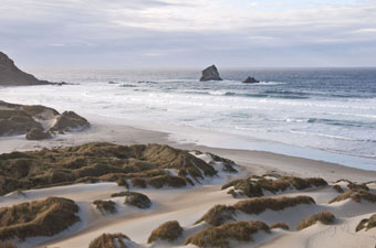 Sandfly Bay Otago