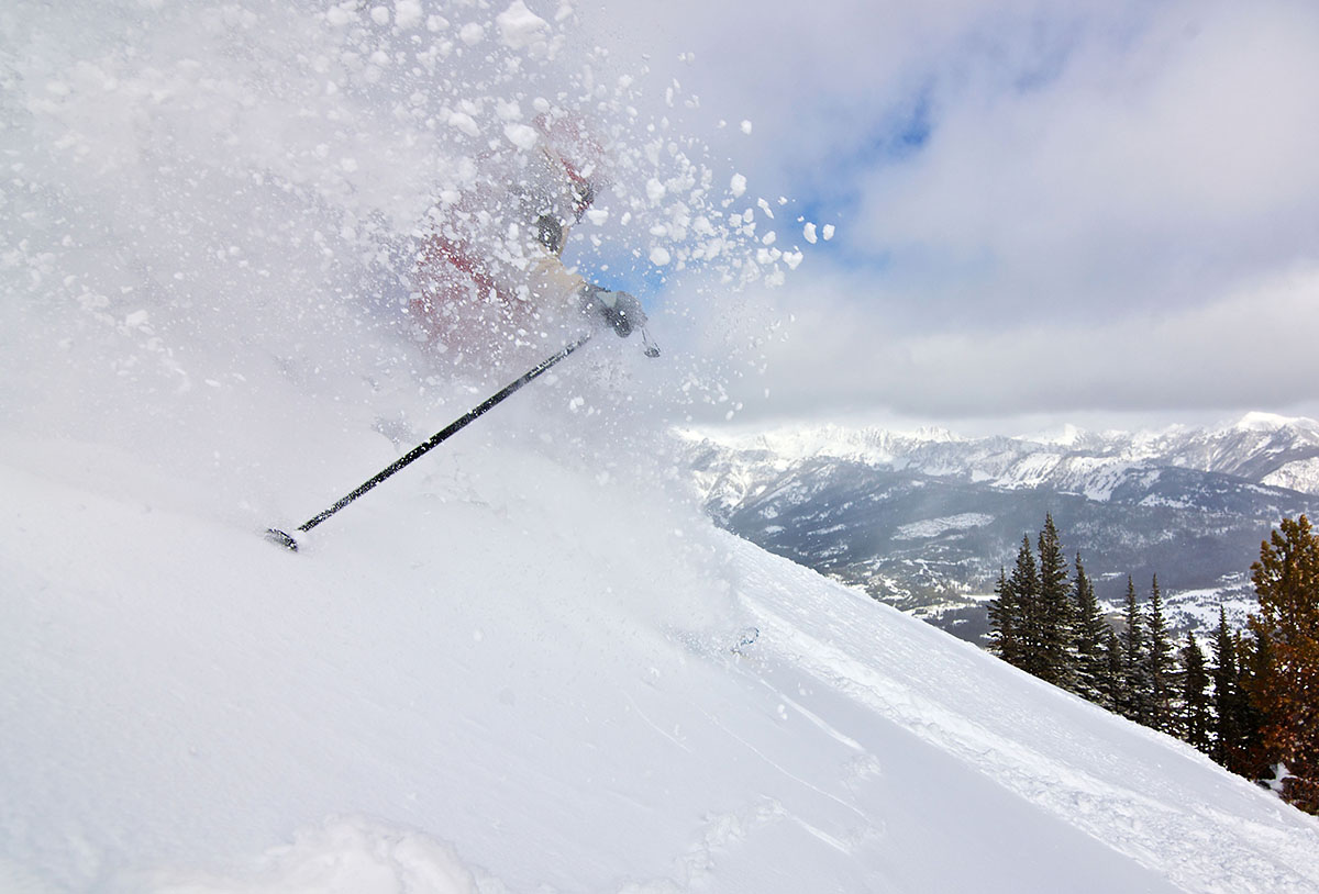 Top ski. Палки для горнолыжного спорта. Палки для фрирайда. Халф пайп лыжи. Ski Pole.