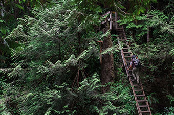 West Coast Trail