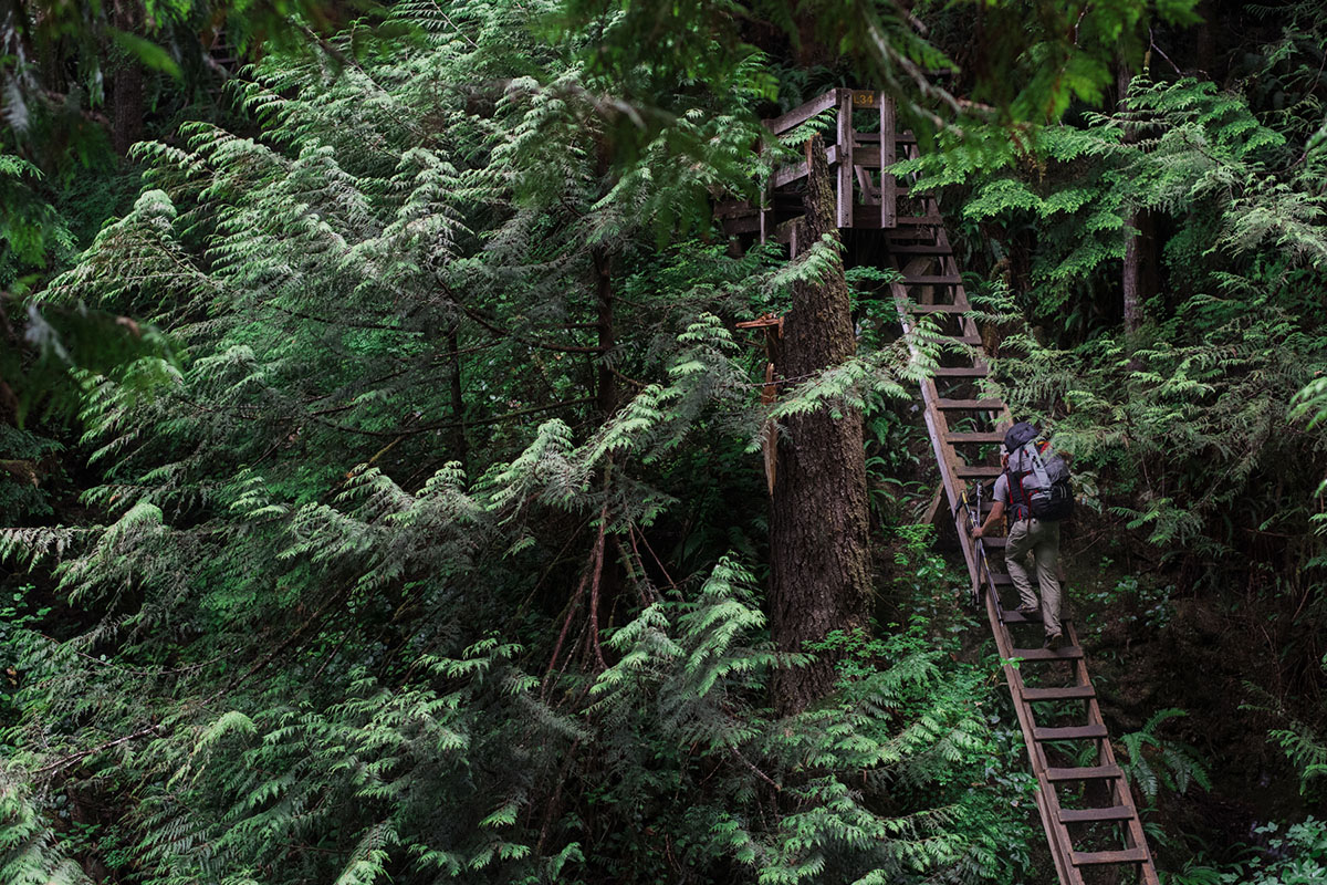 West Coast Hikers, Meet Your New Best Friend