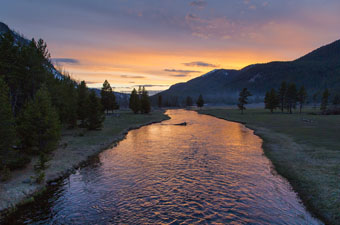 Yellowstone National Park