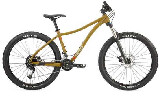 mountain bikes under $1000