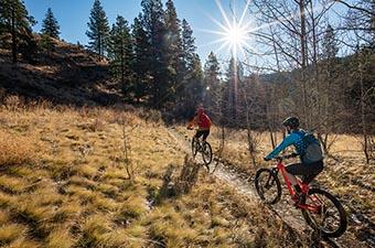 Mountain bike pricing (riding on sunny day)